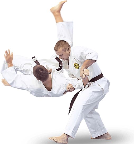 Восточные единоборства