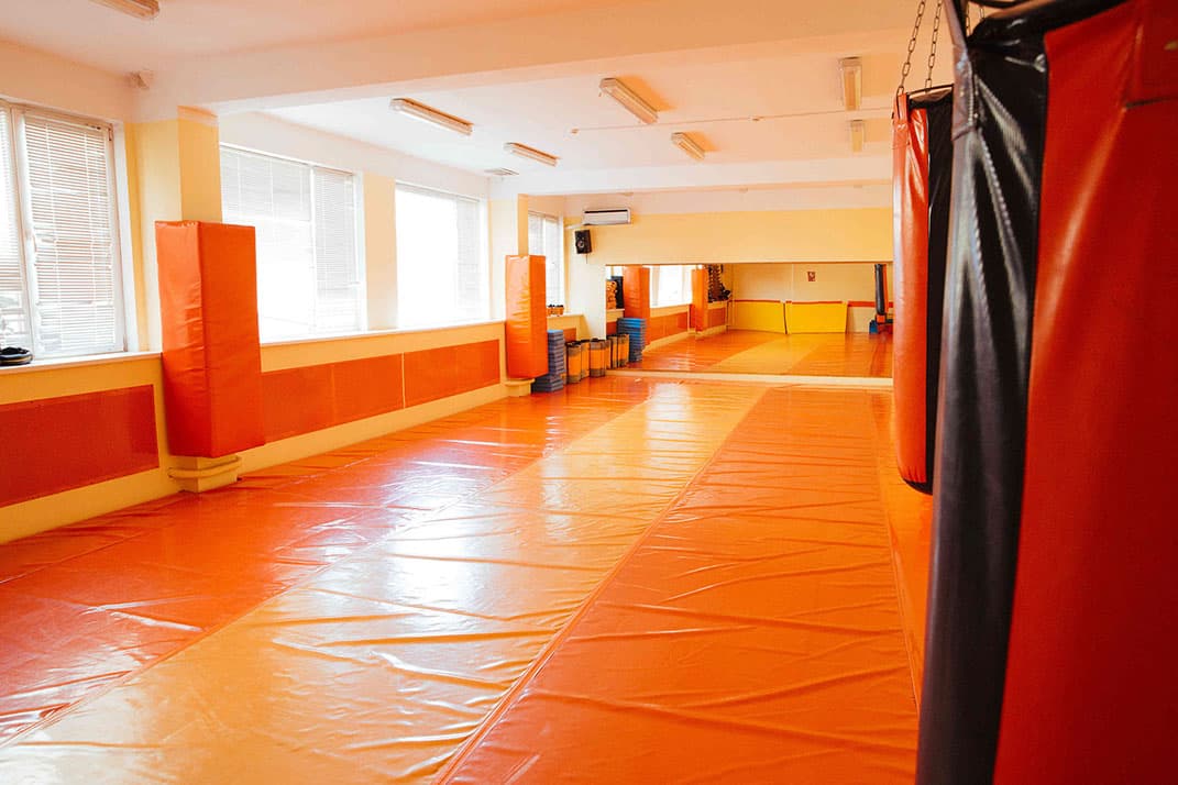 Восточные единоборства 1